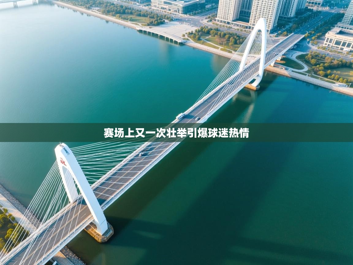 赛场上又一次壮举引爆球迷热情