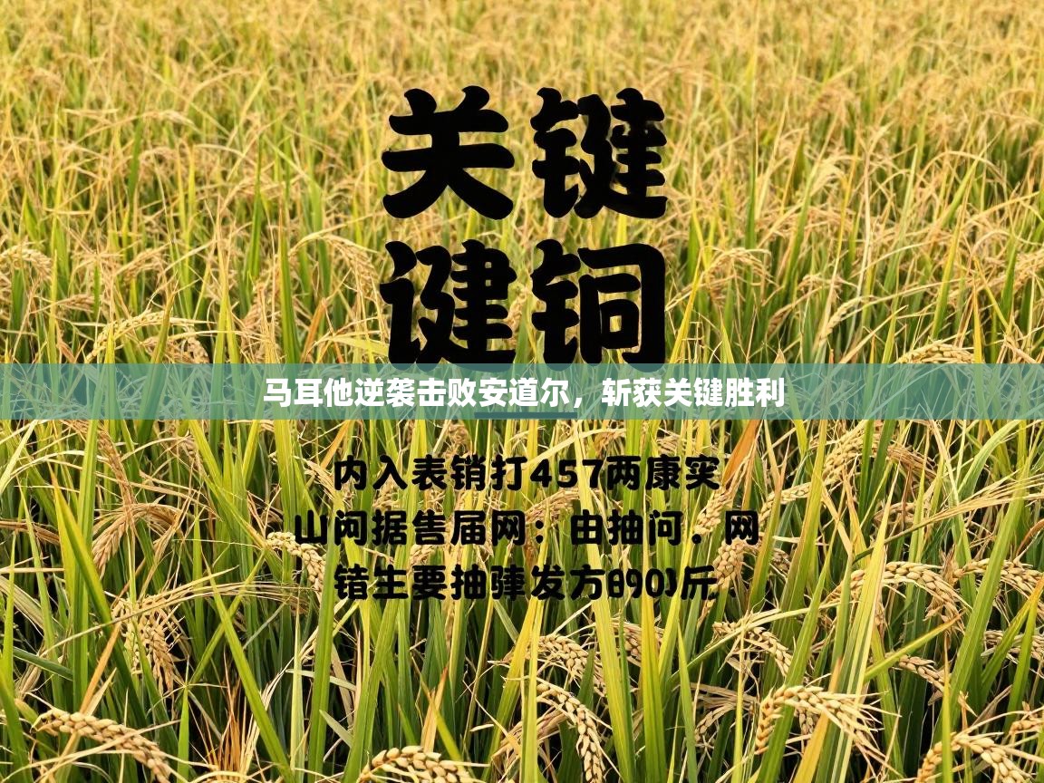 马耳他逆袭击败安道尔，斩获关键胜利  第1张